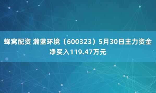 蜂窝配资 瀚蓝环境（600323）5月30日主力资金净买入119.47万元
