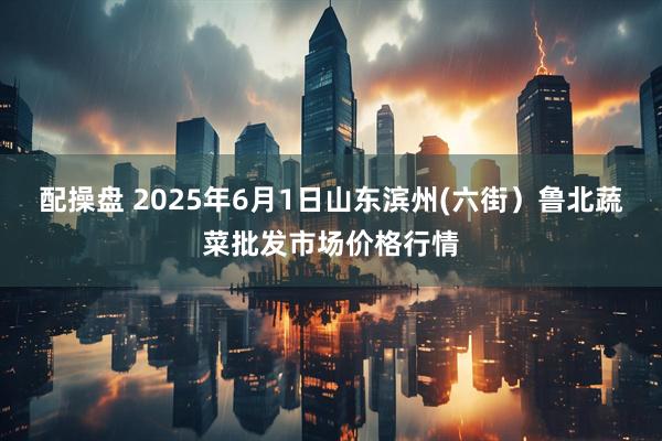 配操盘 2025年6月1日山东滨州(六街）鲁北蔬菜批发市场价格行情