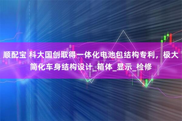 顺配宝 科大国创取得一体化电池包结构专利，极大简化车身结构设计_箱体_显示_检修