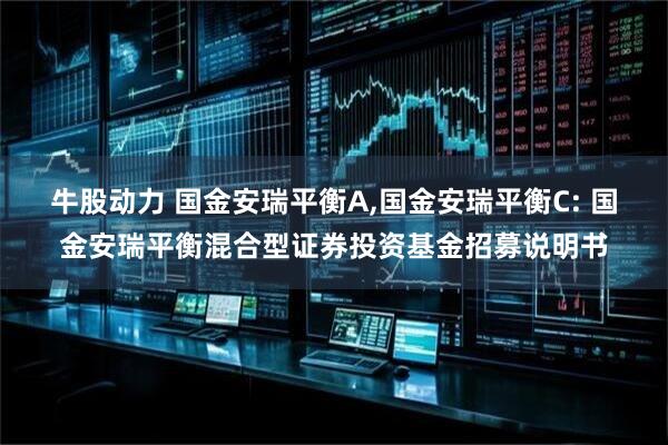 牛股动力 国金安瑞平衡A,国金安瑞平衡C: 国金安瑞平衡混合型证券投资基金招募说明书